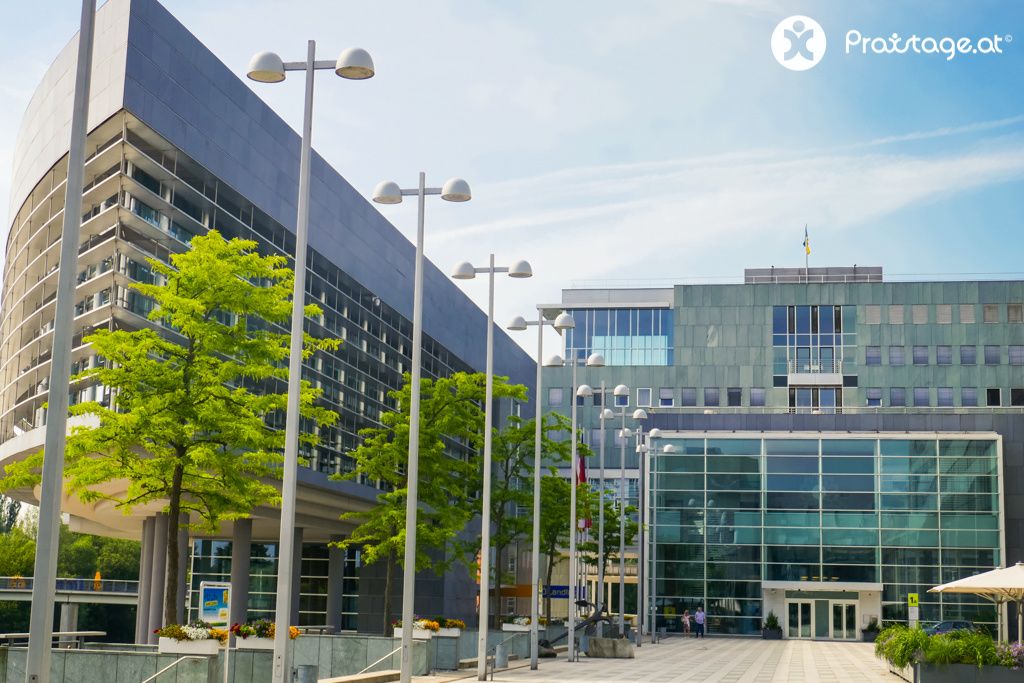 Impressionen Praxistage 2019